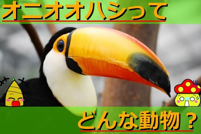 Thumbnail of post image 046